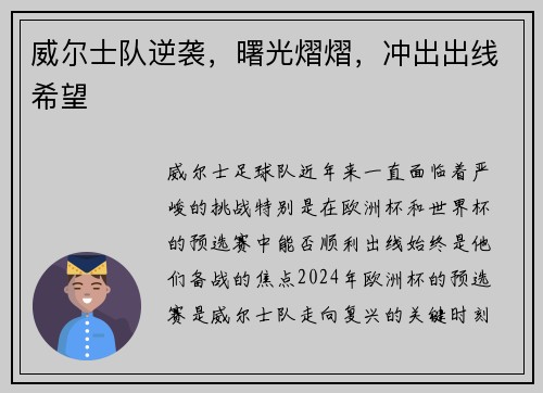 威尔士队逆袭，曙光熠熠，冲出出线希望